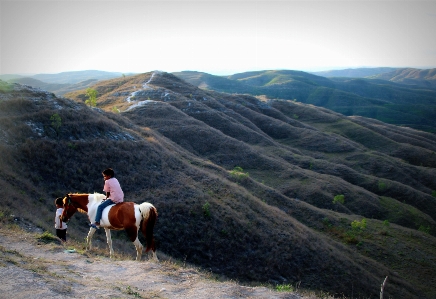 Sumba
 ada endonezya yerel Fotoğraf