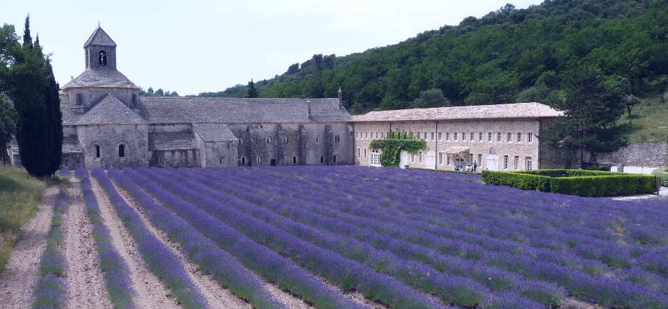 France historic site abbey flower