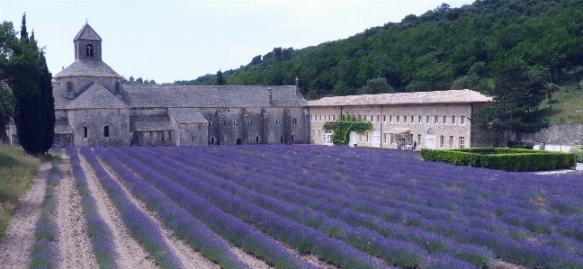 France historic site abbey flower Photo