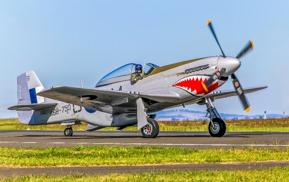 Mustang p51 warbird runway