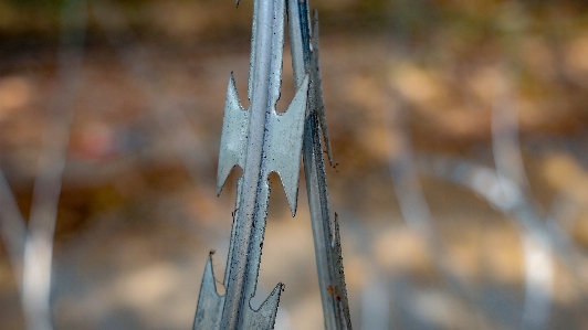 Wire barb security razor Photo