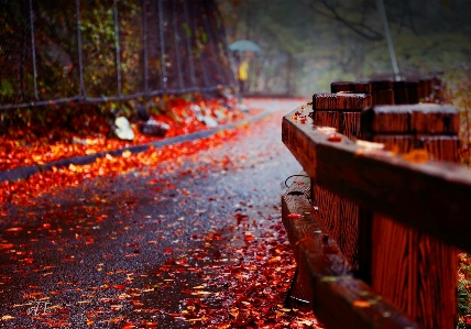 Landscape nature horizone mountain Photo