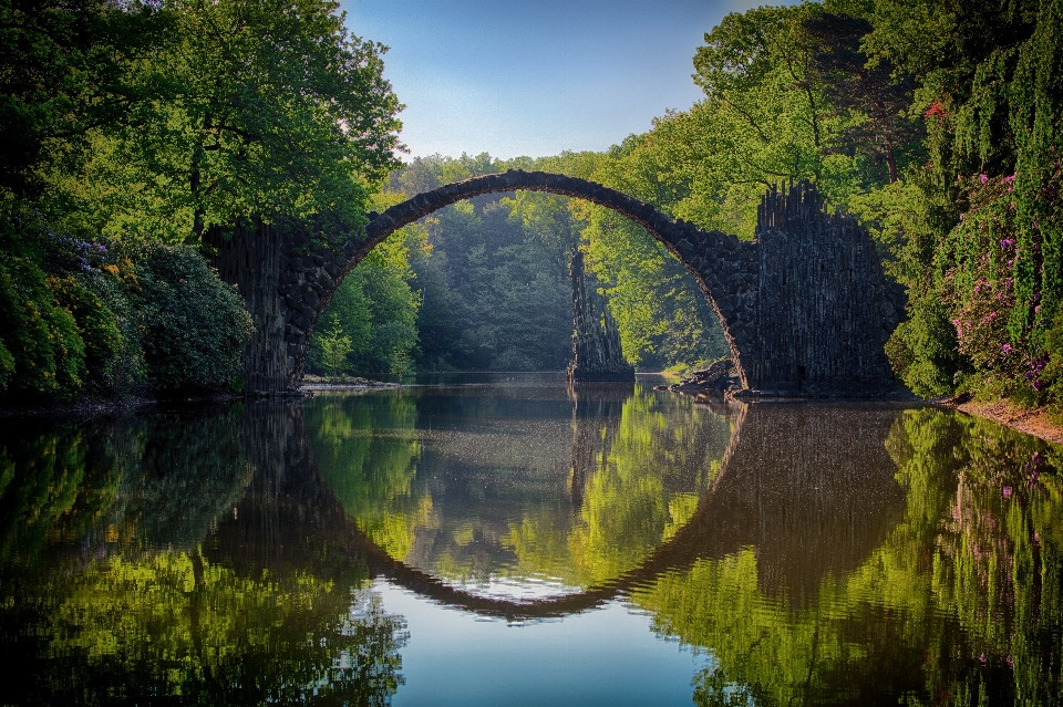 Reflection nature body of water humpback bridge