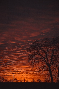 Sky afterglow red at morning nature Photo