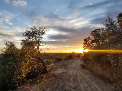 Landscape sunrise sky sun Photo