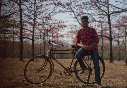 Bicycle wheel vehicle tree Photo