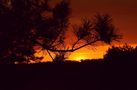 Sky nature sunset natural landscape Photo