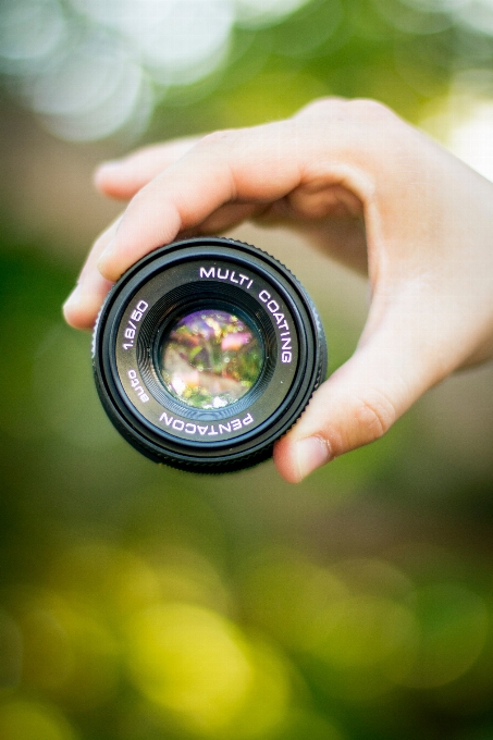 Foto grün kameraobjektiv
 makrofotografie
