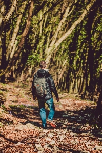 People in nature tree natural environment leaf Photo