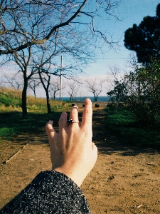 People in nature tree sky hand Photo