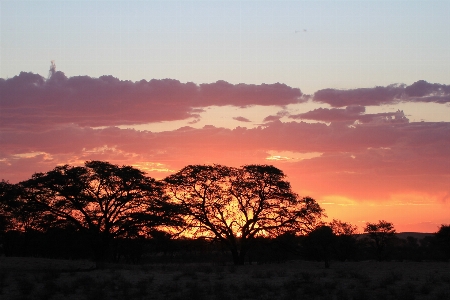 Foto Céu pôr do sol arrebol
 paisagem natural
