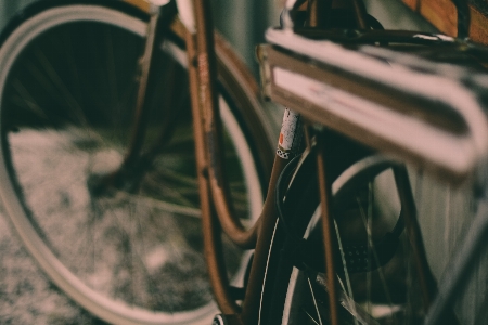 Foto Ruota di bicicletta
 pneumatico per parte della