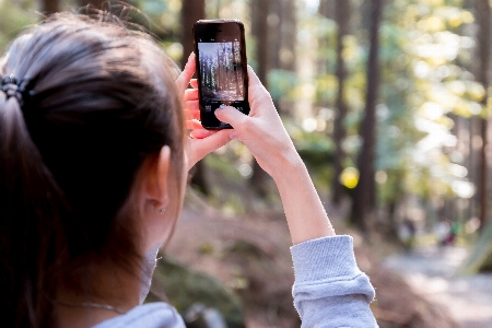 Foto Fotografia árvore mão tecnologia