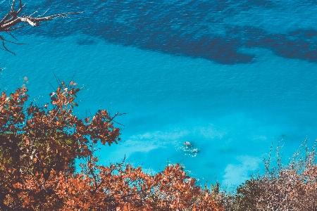 青 空 水 植生 写真