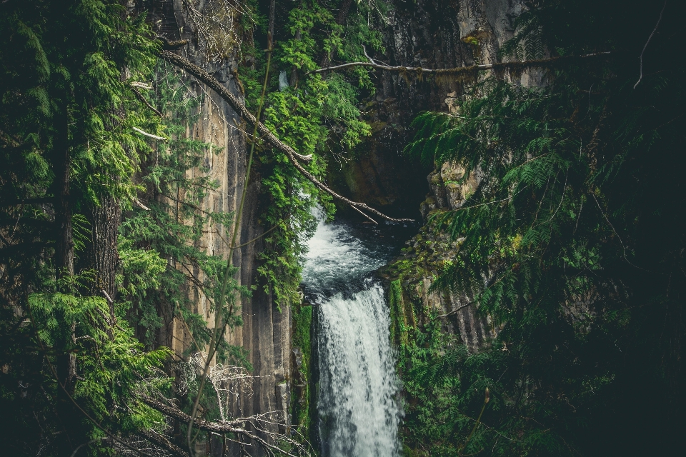 Waterfall body of water nature