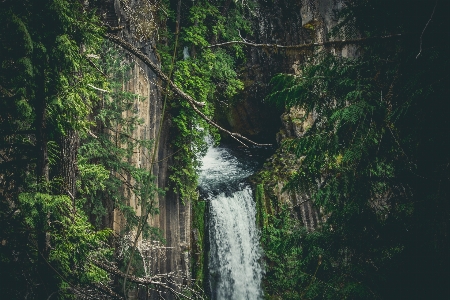 Waterfall body of water nature Photo