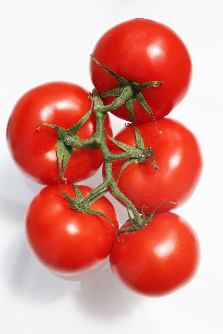 Tomate rot frucht nachtschatten
