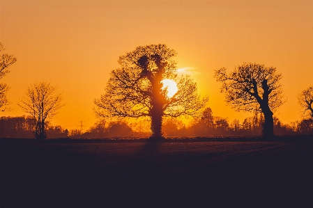 Sky natural landscape tree nature Photo