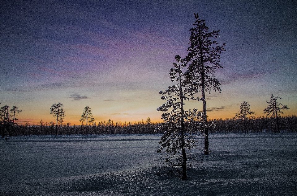 Sky natural landscape nature tree