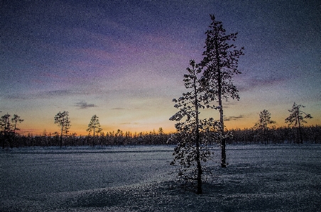 Sky natural landscape nature tree Photo