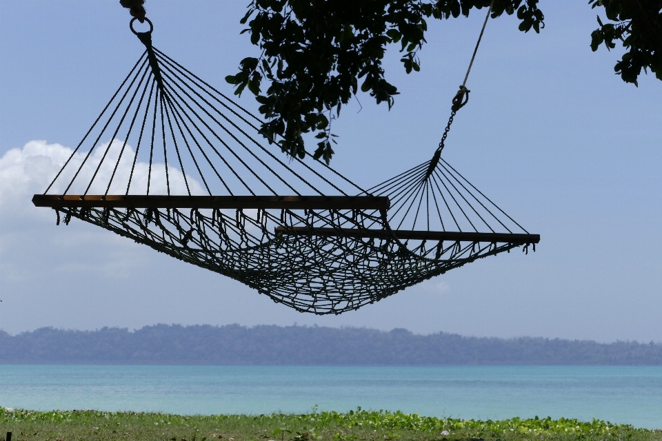 Hammock tree sky