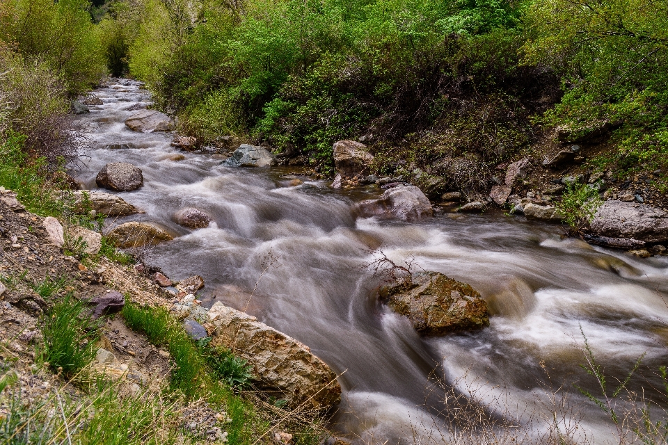 Body of water stream resources watercourse