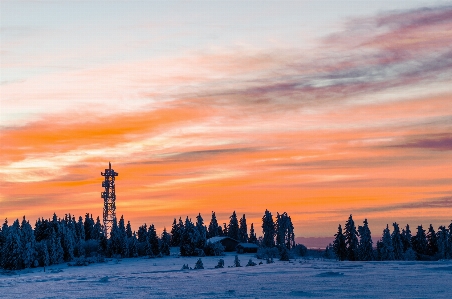 Sky snow winter red at morning Photo