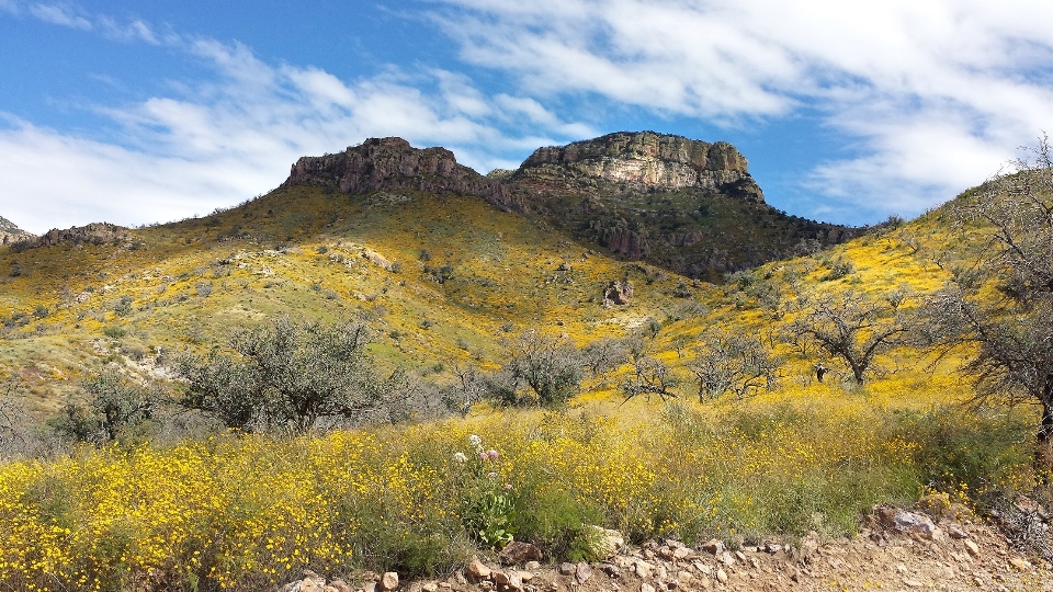 Mountainous landforms mountain nature natural landscape