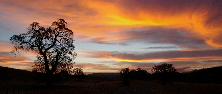 Sky red at morning natural landscape nature Photo