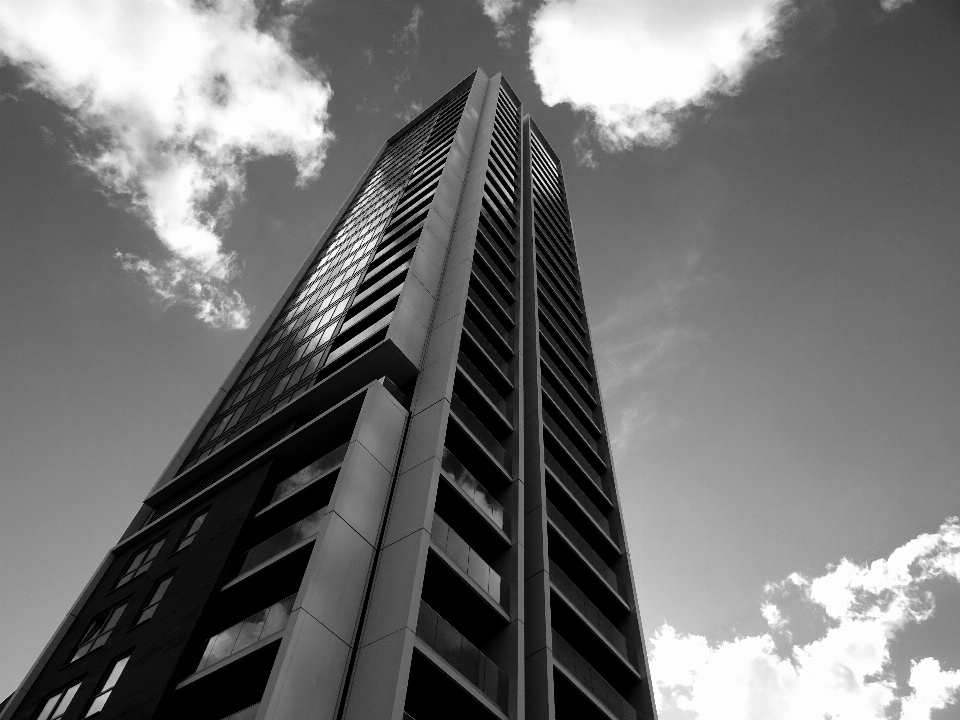 Skyscraper white architecture black