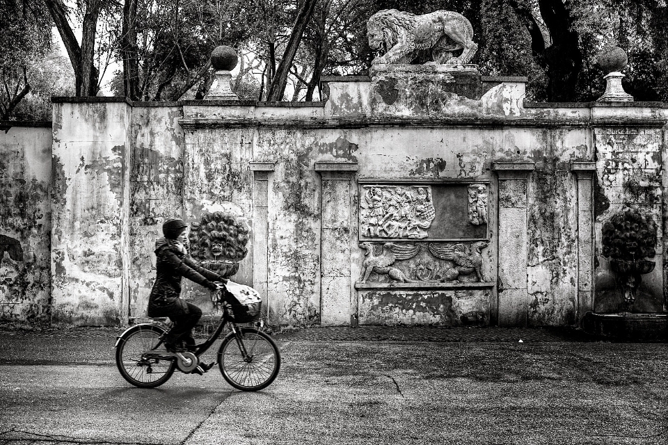 Nero bianco e nero
 fotografia