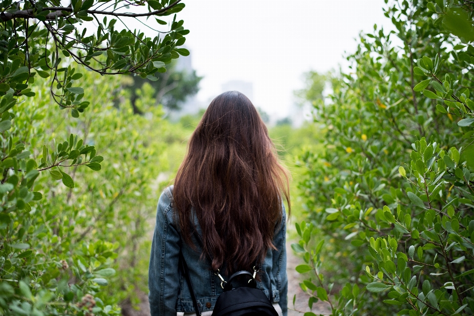 Haar menschen in der natur
 grün natur