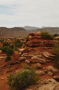 Rock formation outcrop vegetation Photo