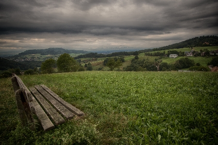 Green nature natural landscape grassland Photo