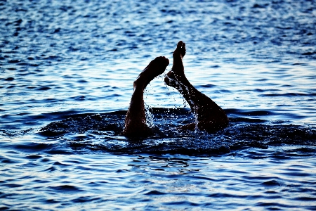 Water swimming sky recreation Photo