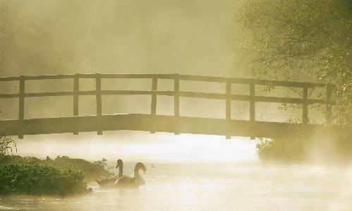 Water atmospheric phenomenon bridge morning Photo