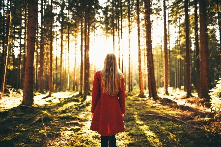 People in nature tree forest Photo