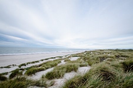 Sky coast sea shore Photo