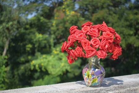 Red flower blue cut flowers Photo