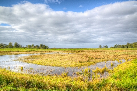 Natural landscape nature environment grassland Photo