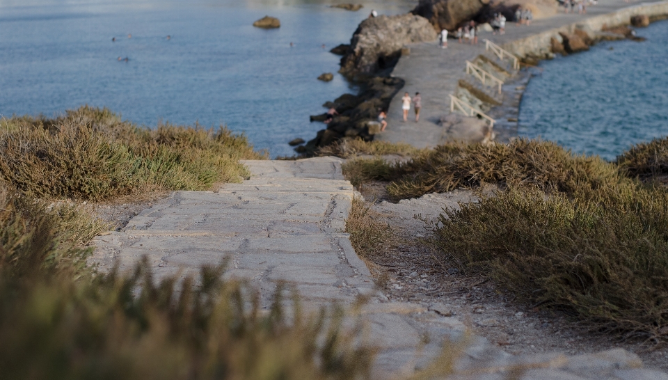 Water natural landscape shore coast