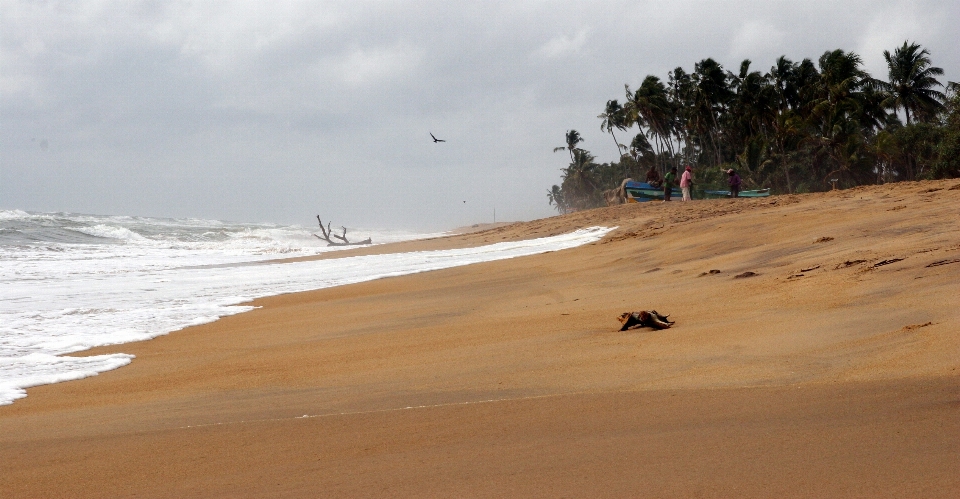 Beach sand coast shore