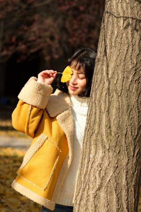 Jaune arbre amusant vêtements d'extérieur
