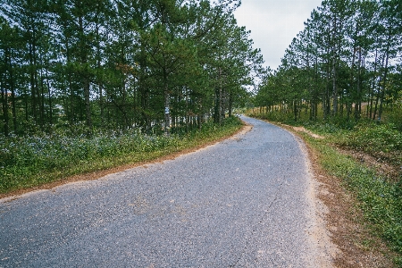 Road asphalt thoroughfare surface Photo