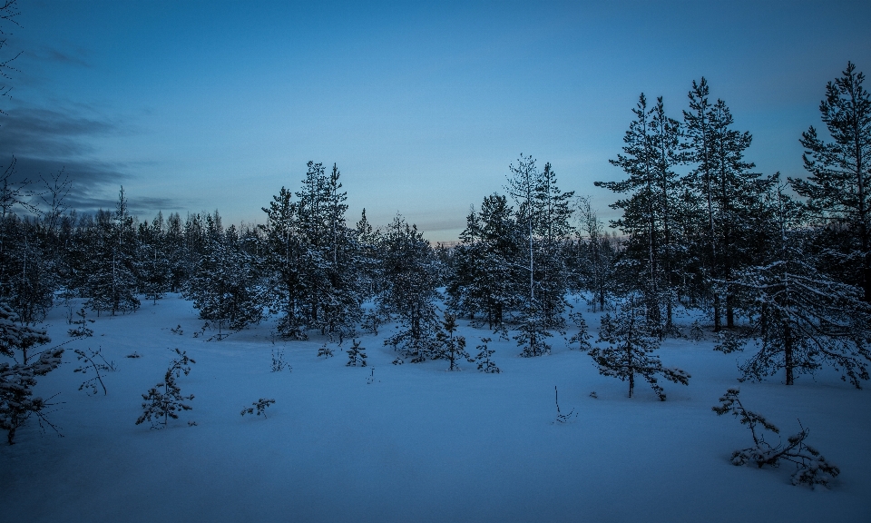 Snow sky winter nature