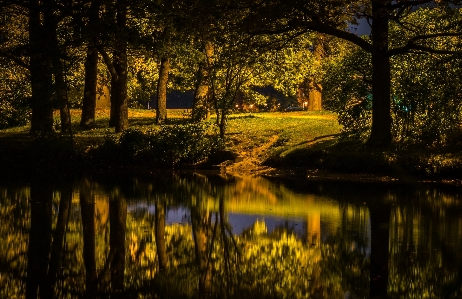 Natural landscape nature reflection tree Photo