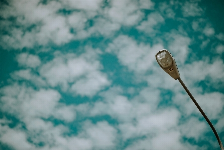 Sky cloud blue green Photo