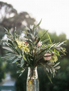 Flower plant floristry bouquet Photo