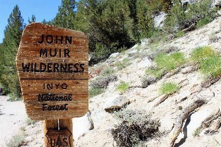 Nature reserve wilderness trail natural landscape Photo