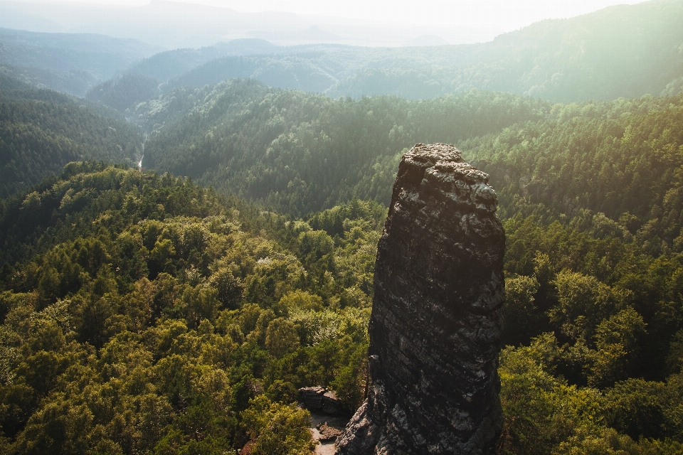 Mountainous landforms mountain vegetation hill station